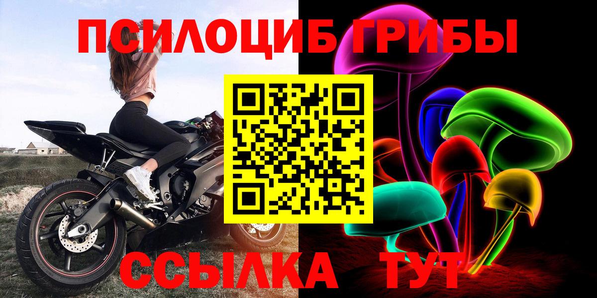 Псилоцибиновые грибы Psilocybine cubensis Лосино-Петровский