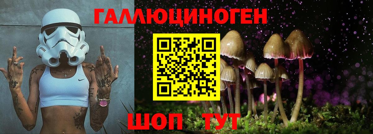 Псилоцибиновые грибы Лосино-Петровский