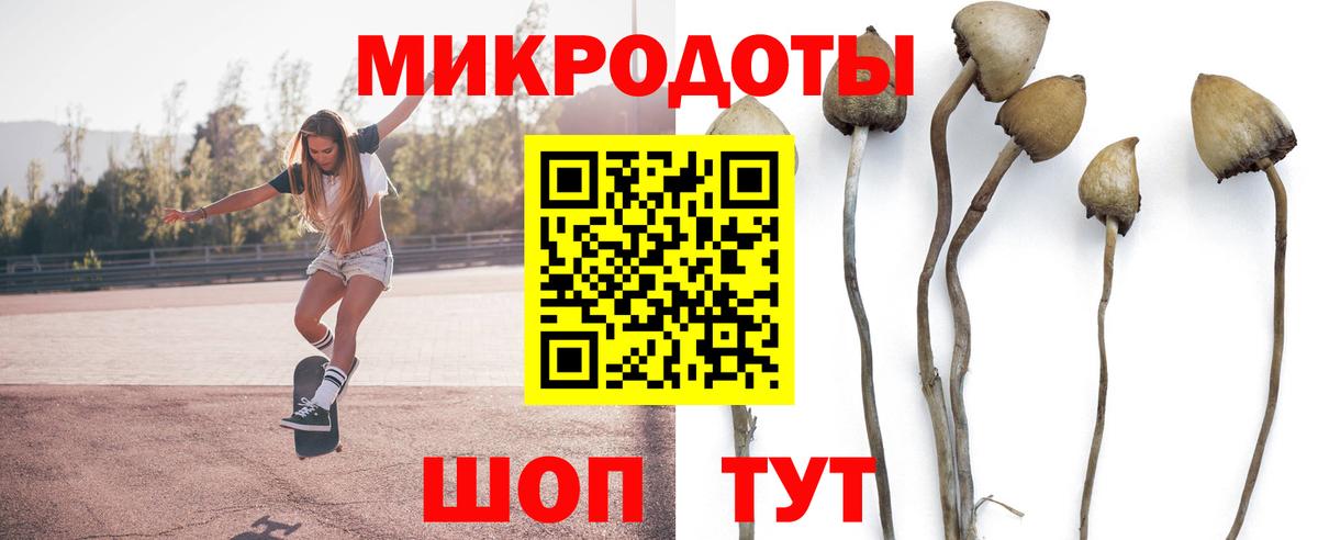 Галлюциногенные грибы GOLDEN TEACHER  купить наркотик  Лосино-Петровский  Вход с VPN 